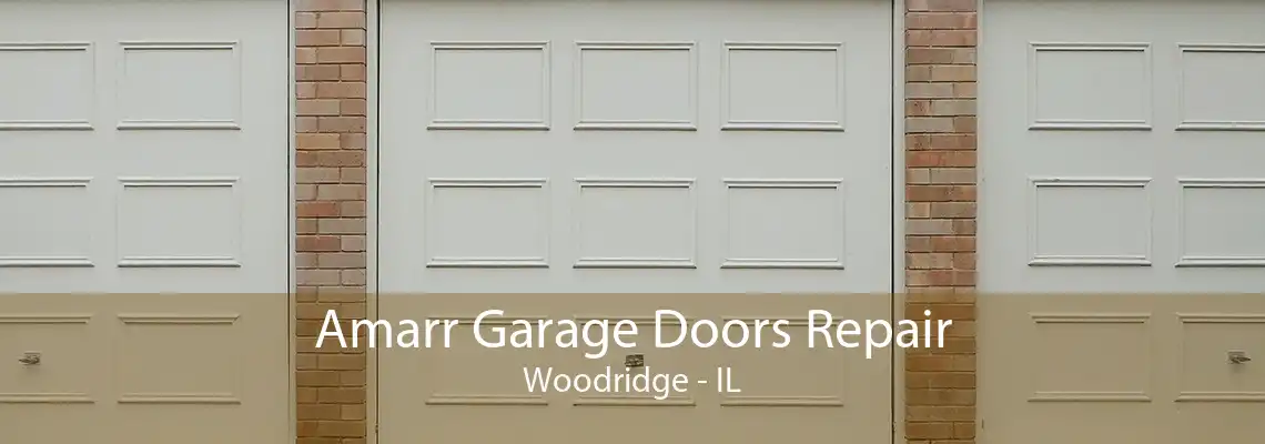 Amarr Garage Doors Repair Woodridge - IL