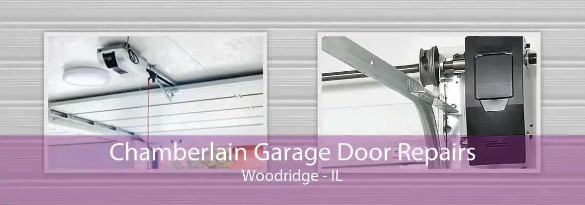 Chamberlain Garage Door Repairs Woodridge - IL