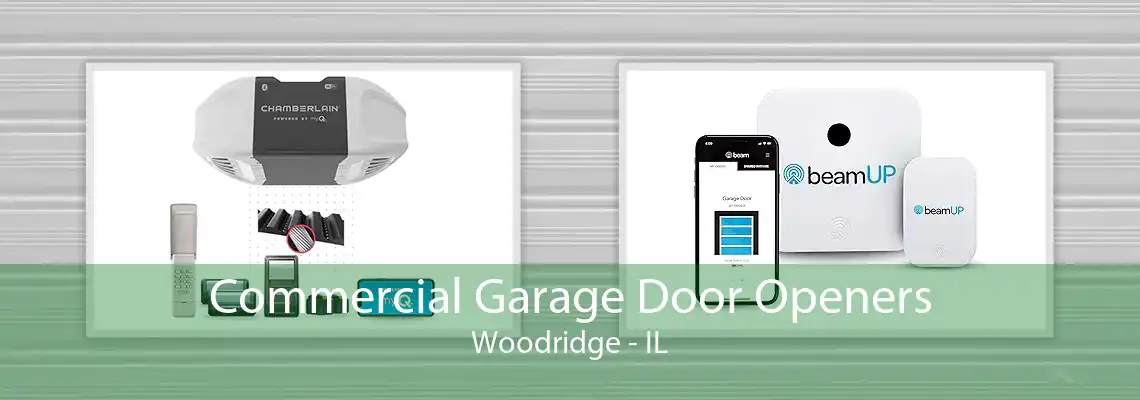 Commercial Garage Door Openers Woodridge - IL