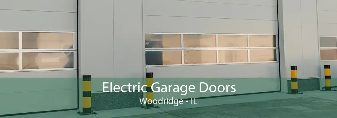 Electric Garage Doors Woodridge - IL