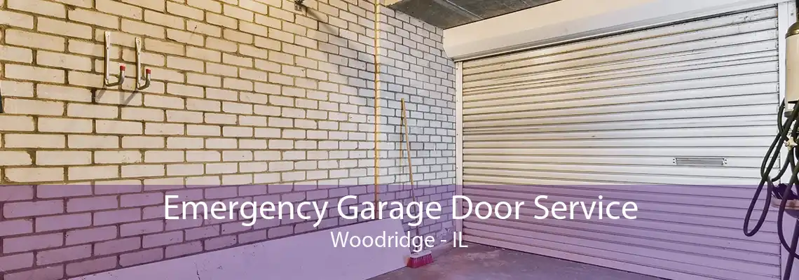 Emergency Garage Door Service Woodridge - IL