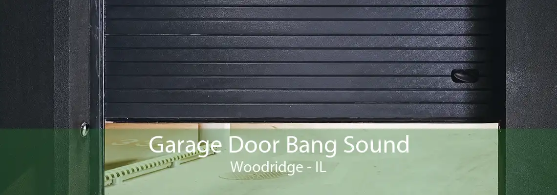 Garage Door Bang Sound Woodridge - IL