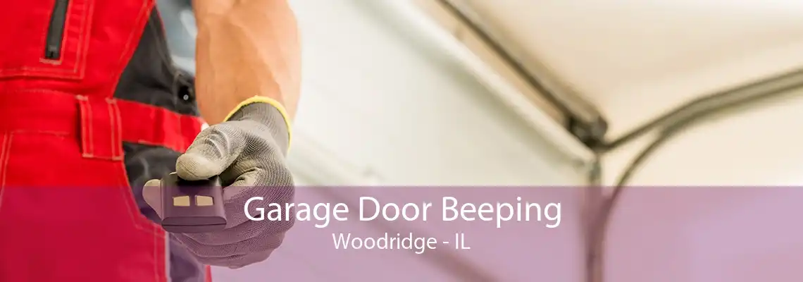 Garage Door Beeping Woodridge - IL