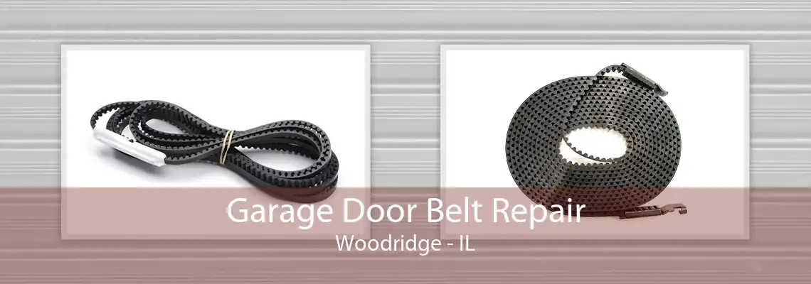 Garage Door Belt Repair Woodridge - IL