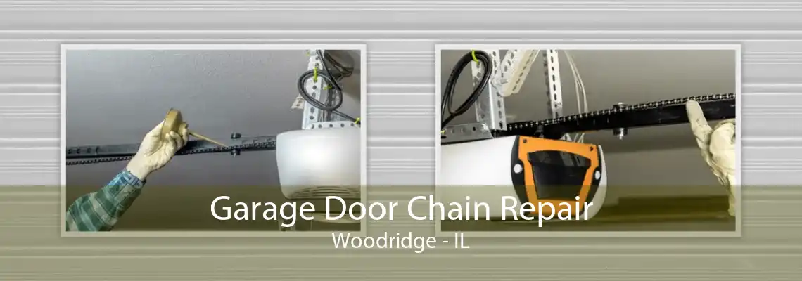 Garage Door Chain Repair Woodridge - IL