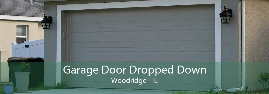 Garage Door Dropped Down Woodridge - IL