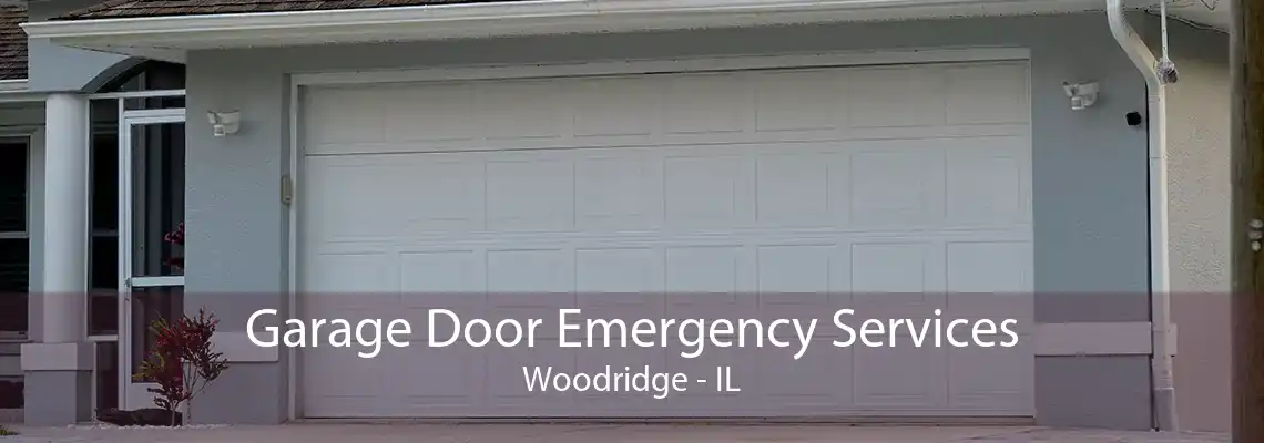 Garage Door Emergency Services Woodridge - IL