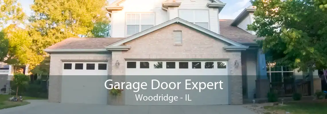 Garage Door Expert Woodridge - IL