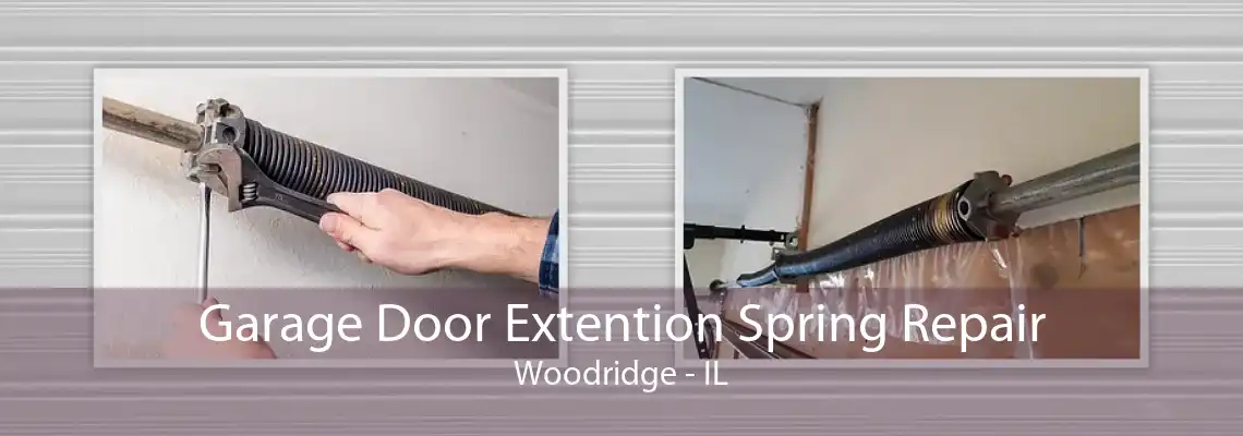 Garage Door Extention Spring Repair Woodridge - IL