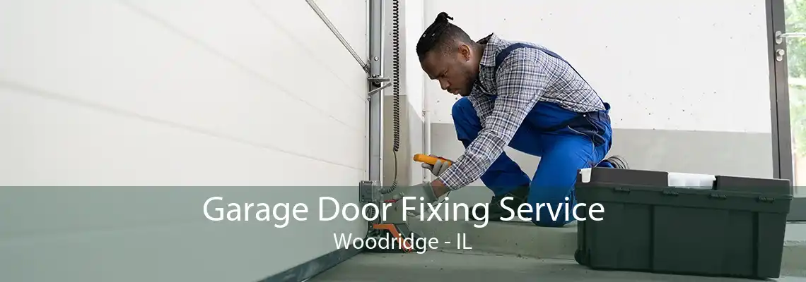 Garage Door Fixing Service Woodridge - IL