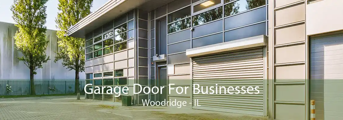 Garage Door For Businesses Woodridge - IL