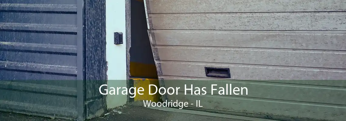 Garage Door Has Fallen Woodridge - IL