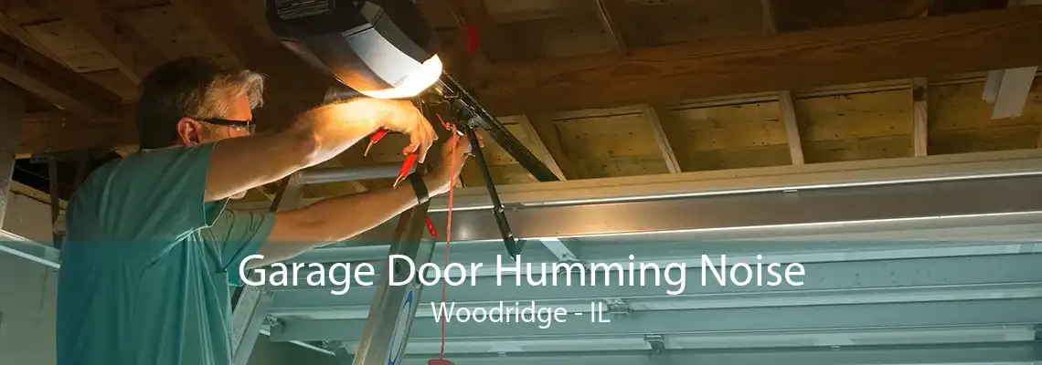 Garage Door Humming Noise Woodridge - IL