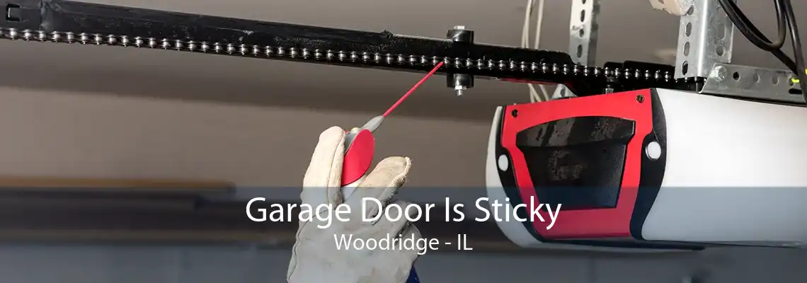 Garage Door Is Sticky Woodridge - IL