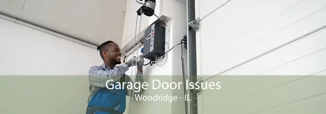 Garage Door Issues Woodridge - IL