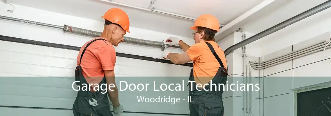 Garage Door Local Technicians Woodridge - IL