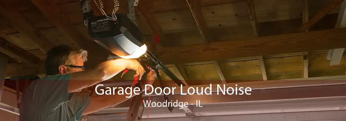 Garage Door Loud Noise Woodridge - IL