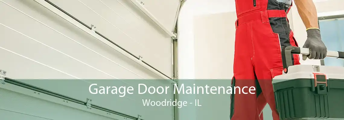 Garage Door Maintenance Woodridge - IL