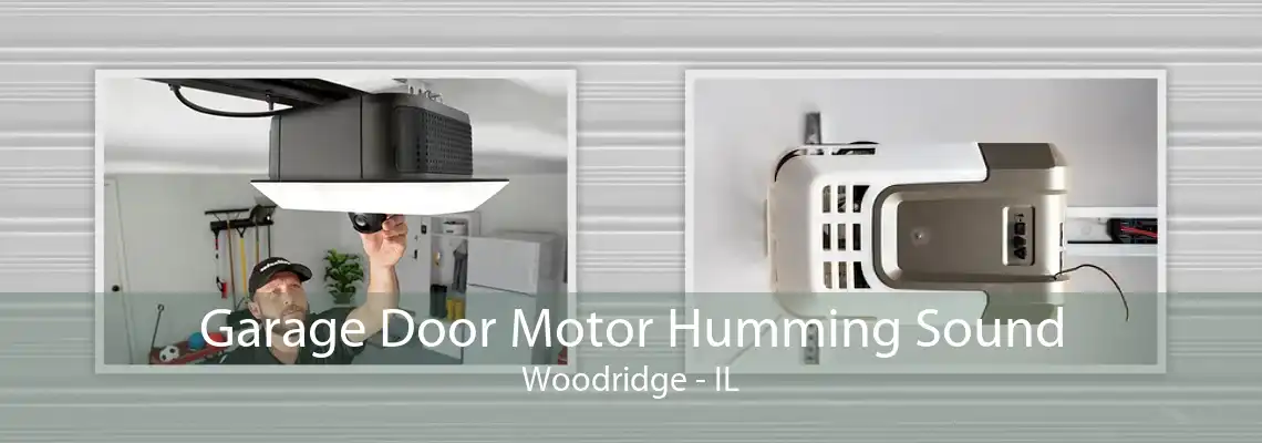 Garage Door Motor Humming Sound Woodridge - IL