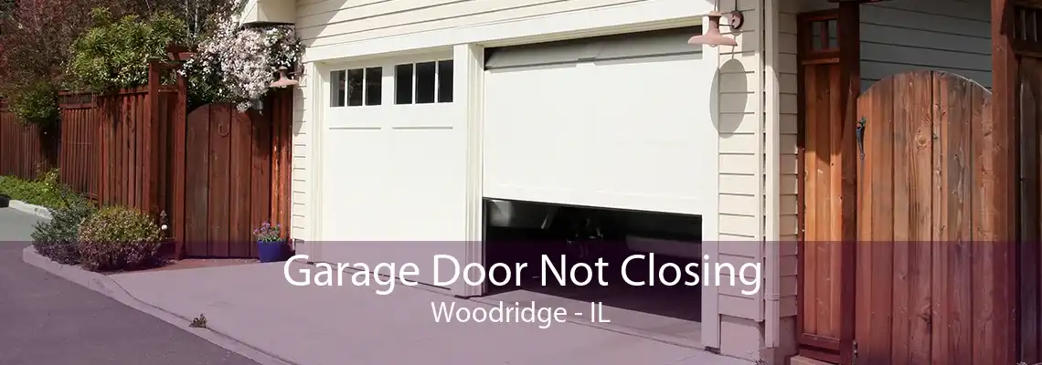 Garage Door Not Closing Woodridge - IL