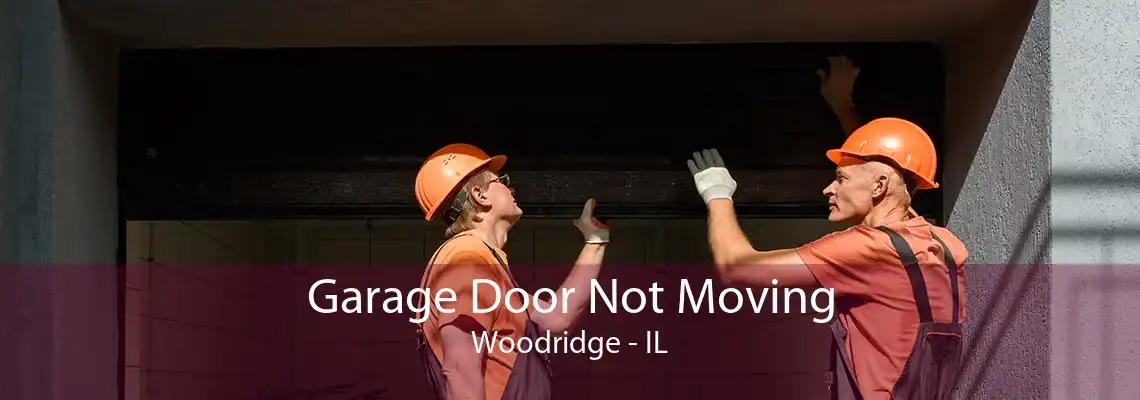 Garage Door Not Moving Woodridge - IL