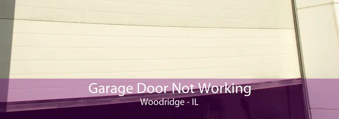 Garage Door Not Working Woodridge - IL