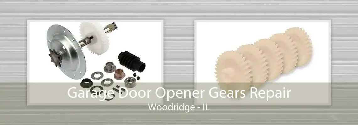 Garage Door Opener Gears Repair Woodridge - IL