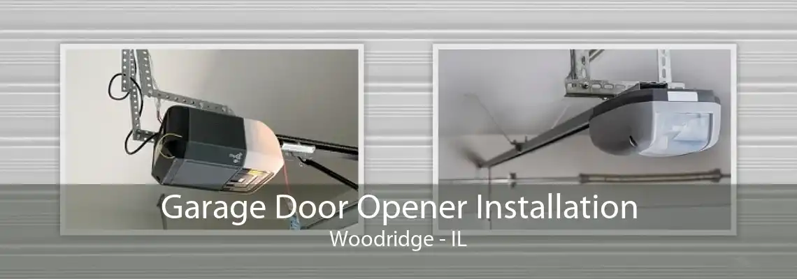 Garage Door Opener Installation Woodridge - IL