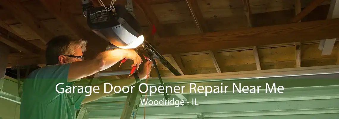 Garage Door Opener Repair Near Me Woodridge - IL