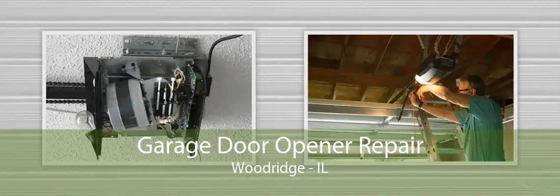 Garage Door Opener Repair Woodridge - IL