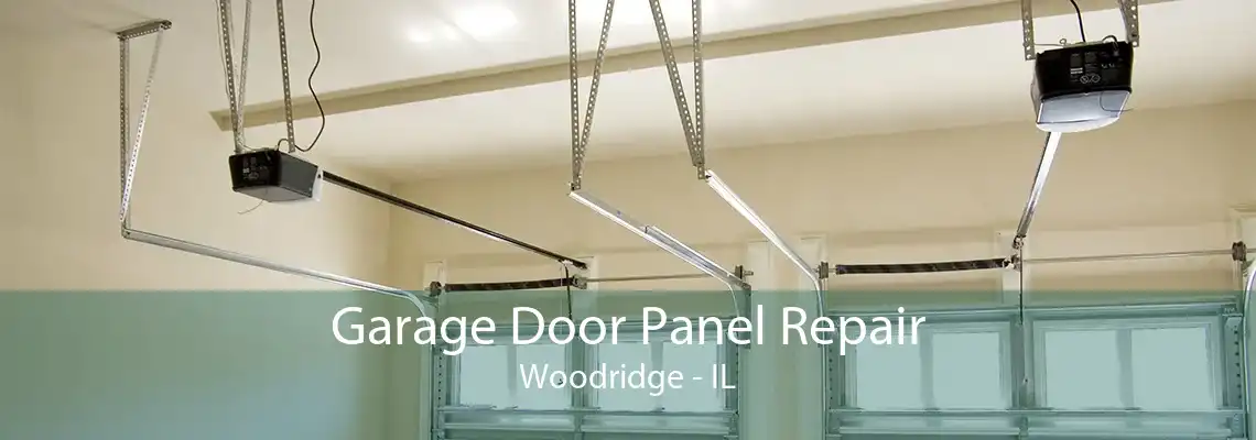 Garage Door Panel Repair Woodridge - IL