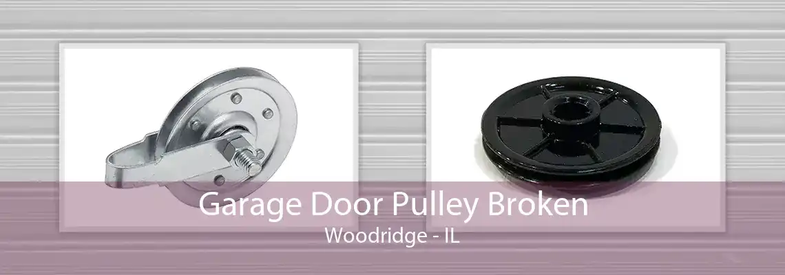 Garage Door Pulley Broken Woodridge - IL