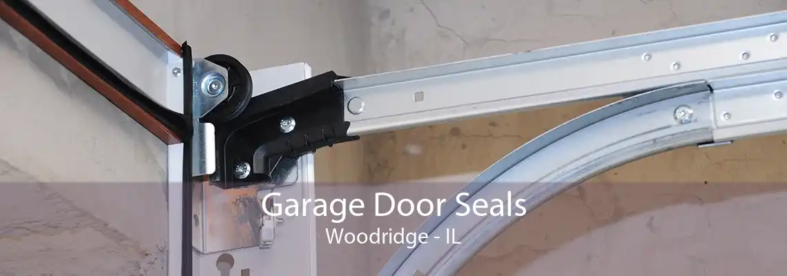 Garage Door Seals Woodridge - IL