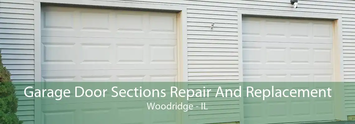 Garage Door Sections Repair And Replacement Woodridge - IL