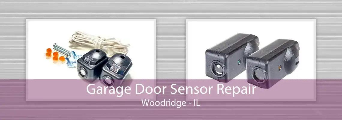 Garage Door Sensor Repair Woodridge - IL