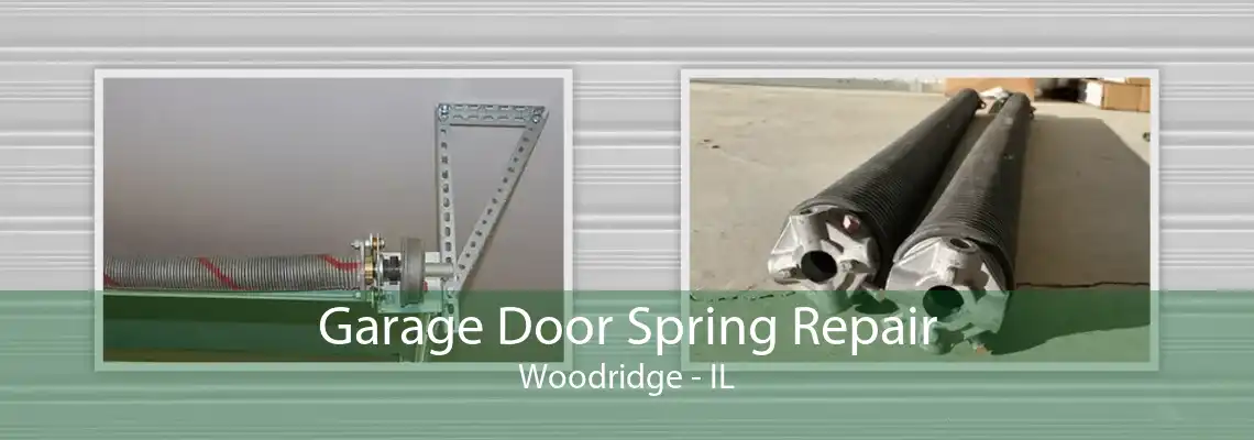 Garage Door Spring Repair Woodridge - IL