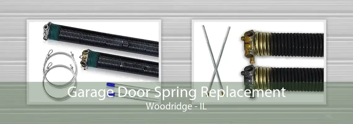 Garage Door Spring Replacement Woodridge - IL