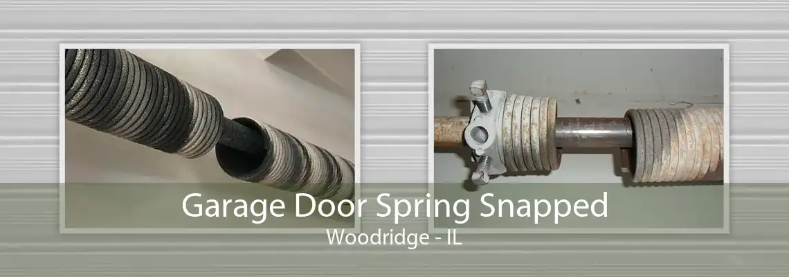 Garage Door Spring Snapped Woodridge - IL