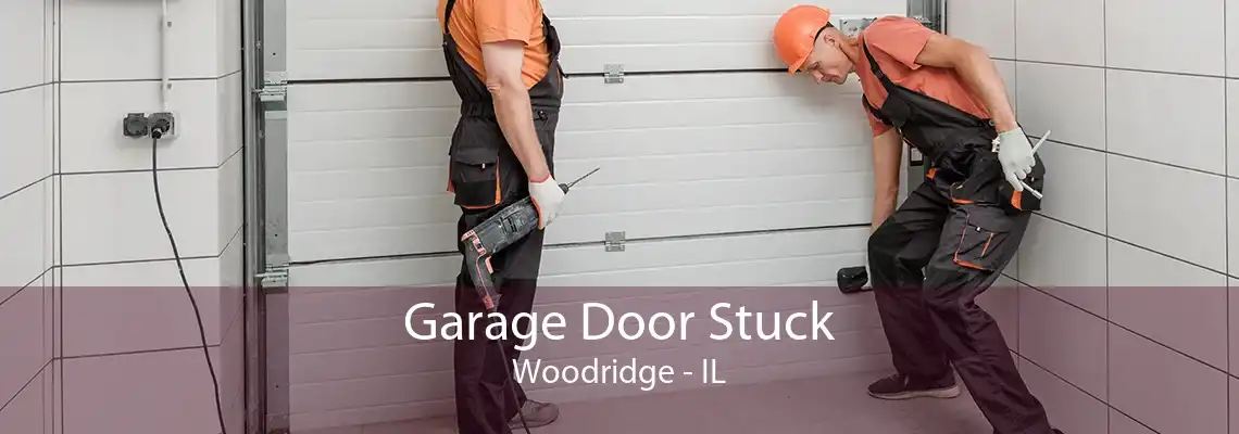 Garage Door Stuck Woodridge - IL