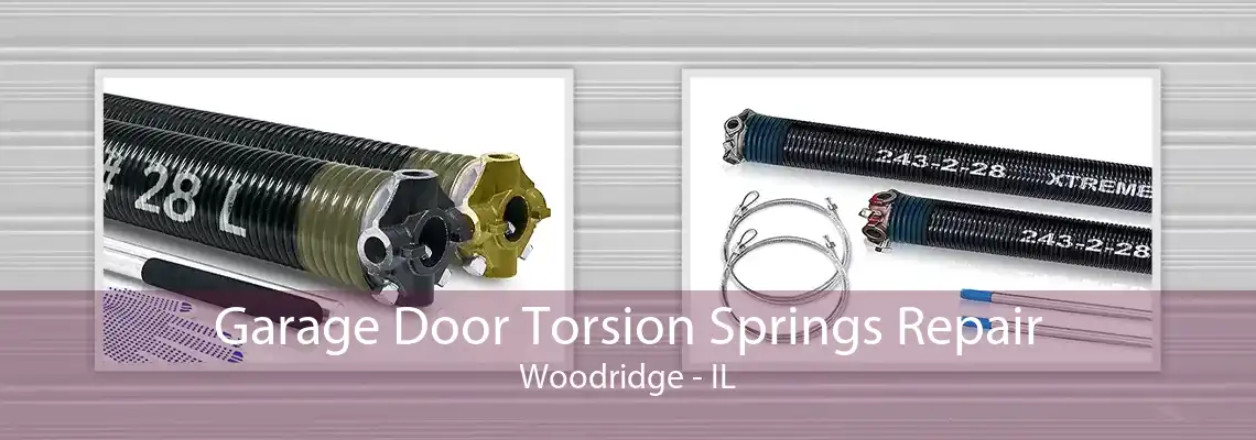 Garage Door Torsion Springs Repair Woodridge - IL