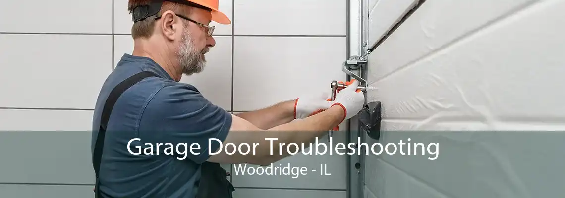 Garage Door Troubleshooting Woodridge - IL