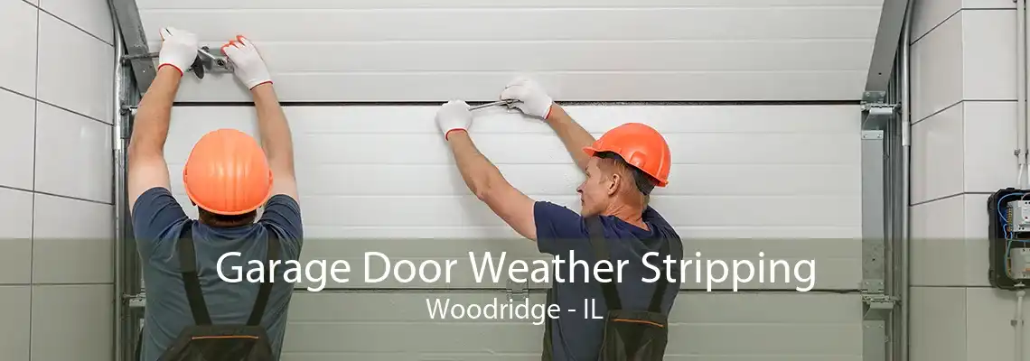 Garage Door Weather Stripping Woodridge - IL