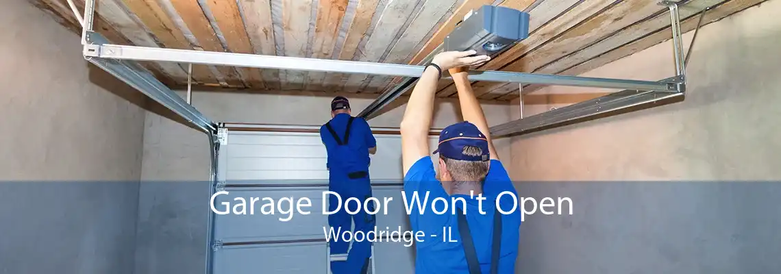 Garage Door Won't Open Woodridge - IL