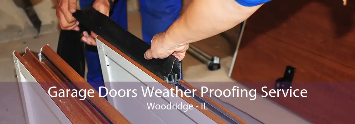 Garage Doors Weather Proofing Service Woodridge - IL