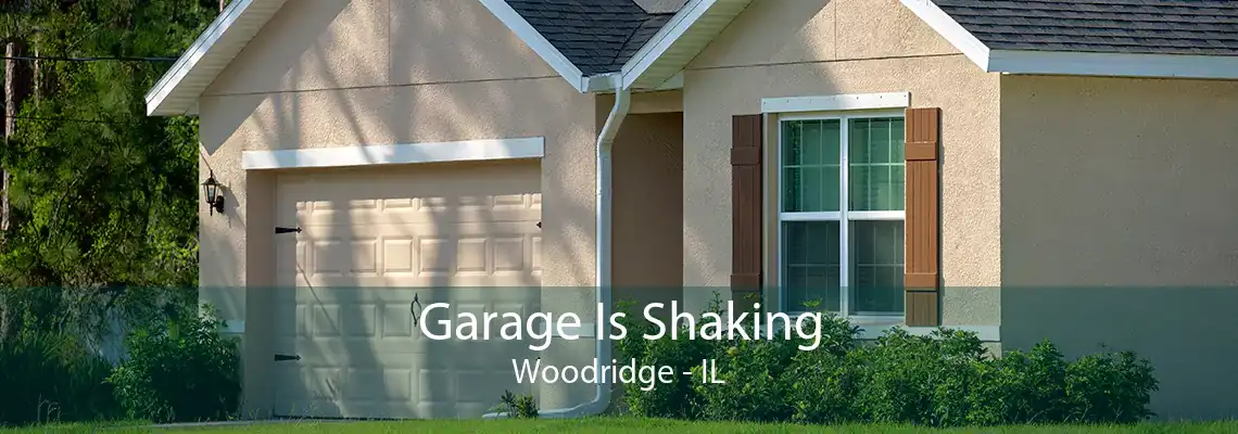 Garage Is Shaking Woodridge - IL