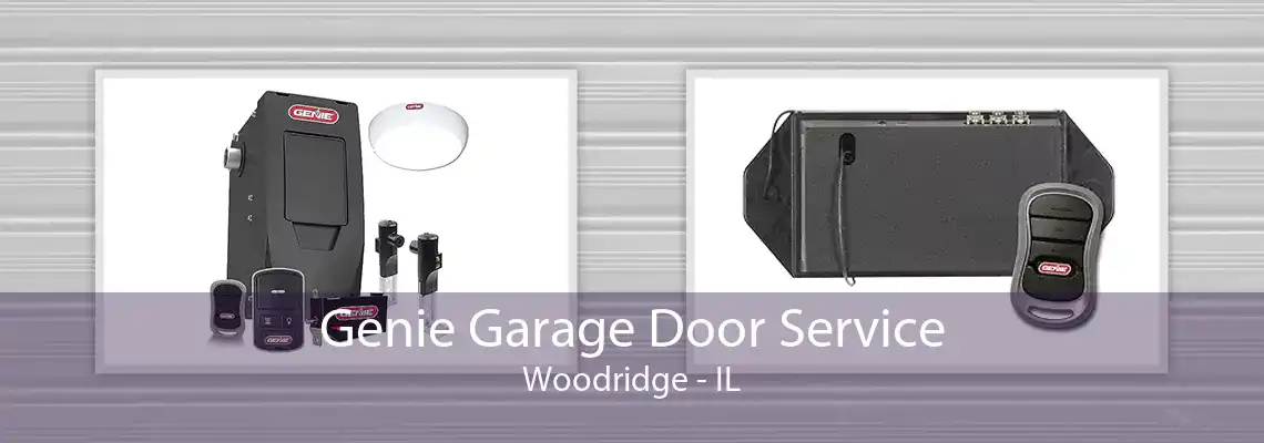 Genie Garage Door Service Woodridge - IL