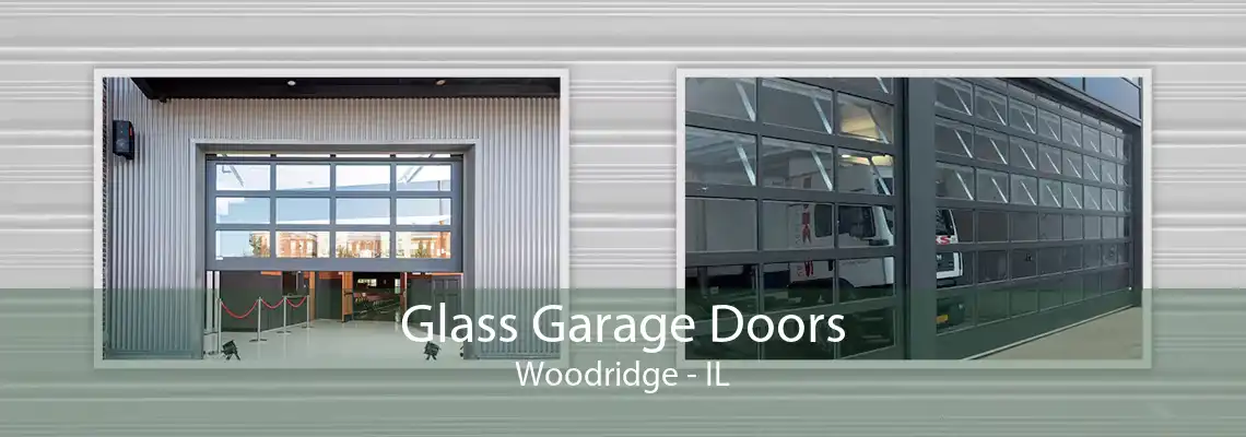 Glass Garage Doors Woodridge - IL