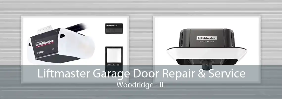 Liftmaster Garage Door Repair & Service Woodridge - IL