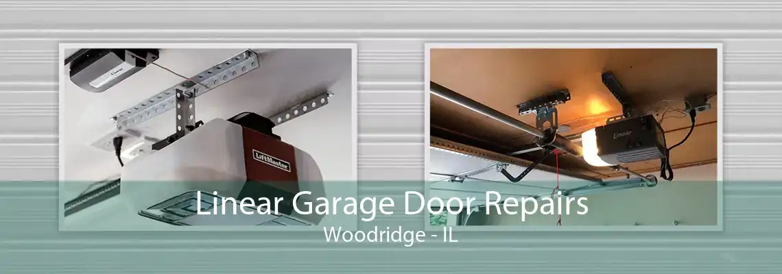 Linear Garage Door Repairs Woodridge - IL