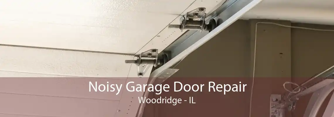 Noisy Garage Door Repair Woodridge - IL